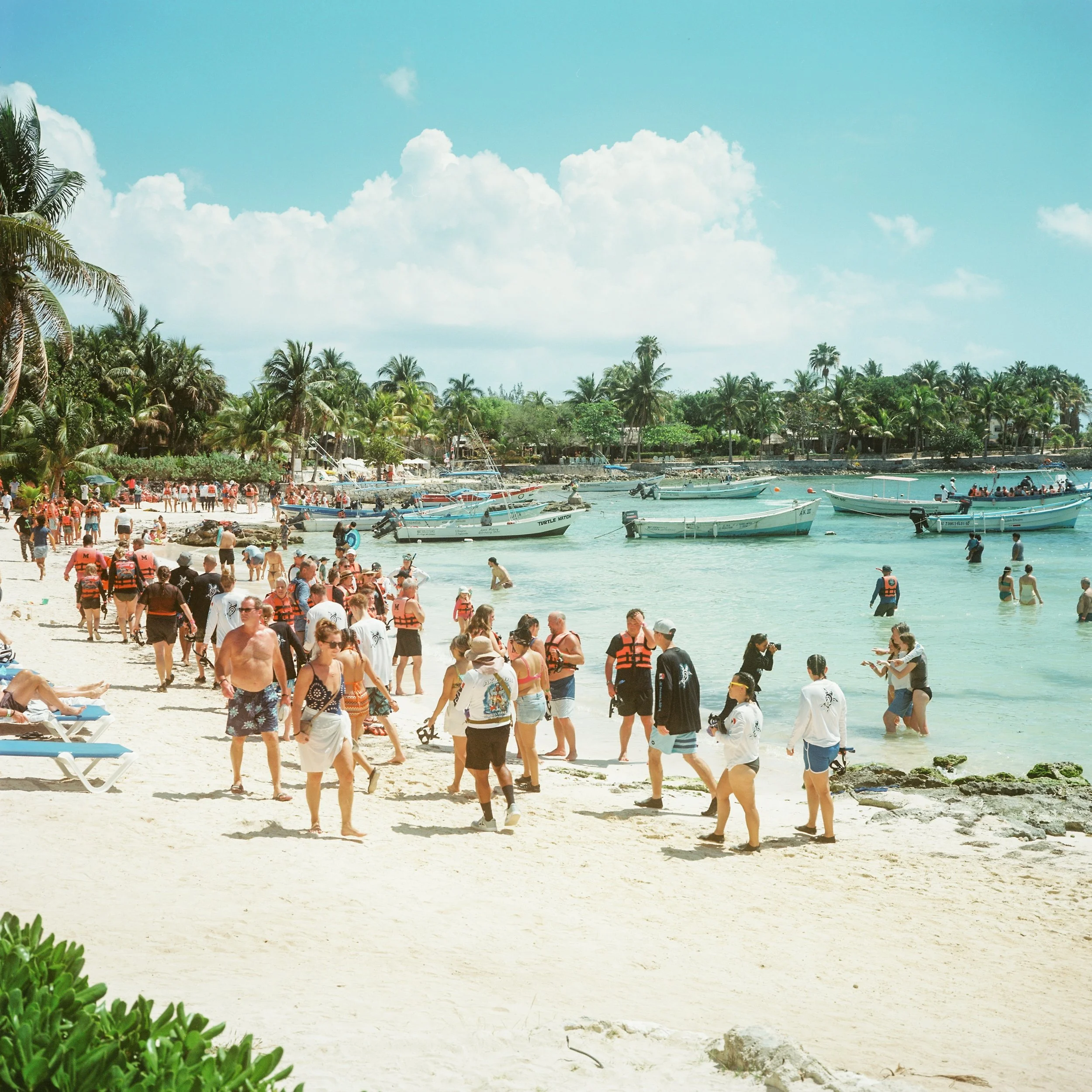 6_567813-R1-03.jpg