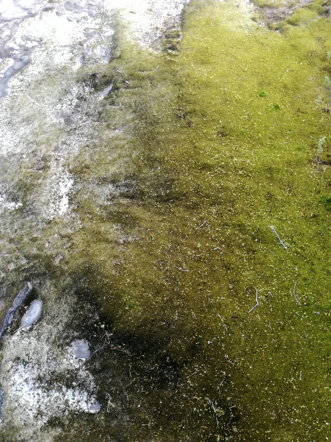 Screen Shot 2017-10-31 at 5.14.20 pm.png