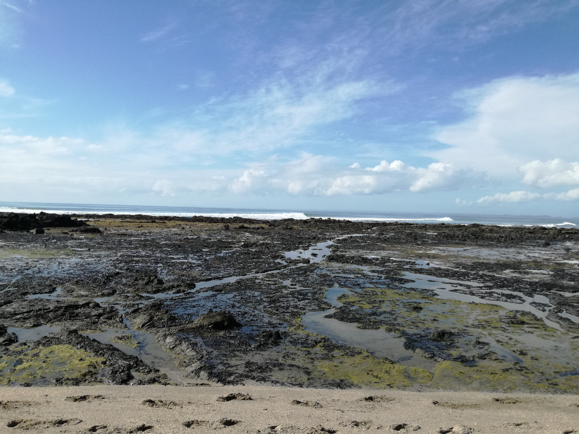 Screen Shot 2017-10-31 at 5.14.48 pm.png