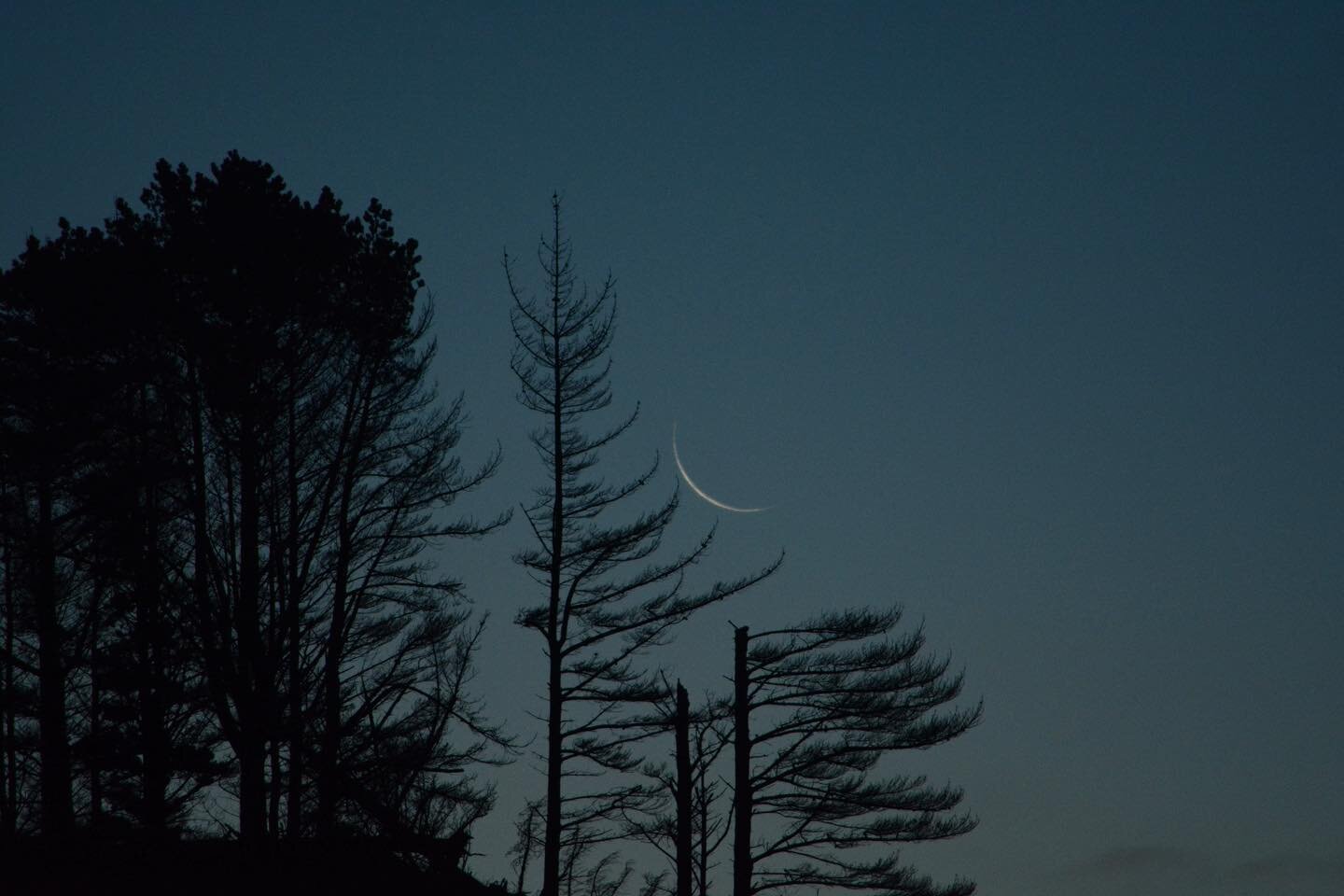 Sliver of a moon last night. All was still, warm and peaceful. Now the beautiful rains are falling, filling the cracks in the soil and replenishing our tanks. Stay well everyone, and may the peaceful feelings continue for this cycle and beyond.