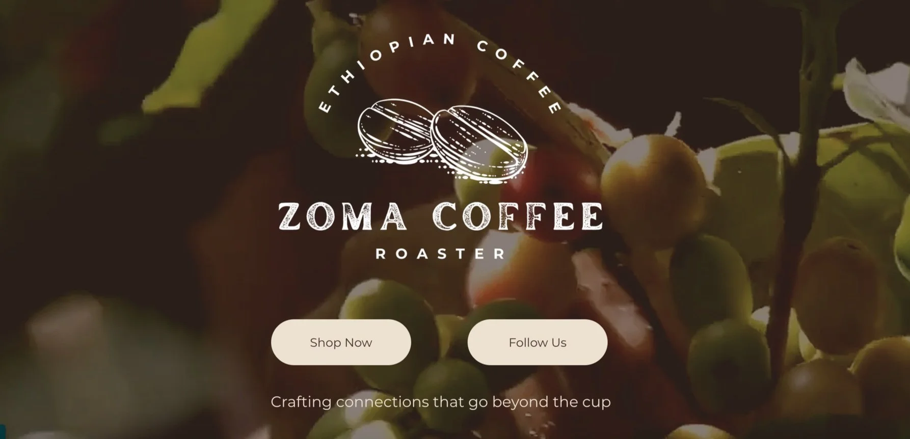 Screenshot 2025-05-13 at 7.25.30 AM.jpg