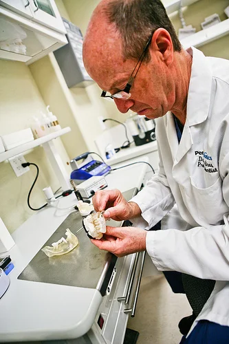 International Journal of Oral and Maxillofacial Surgery