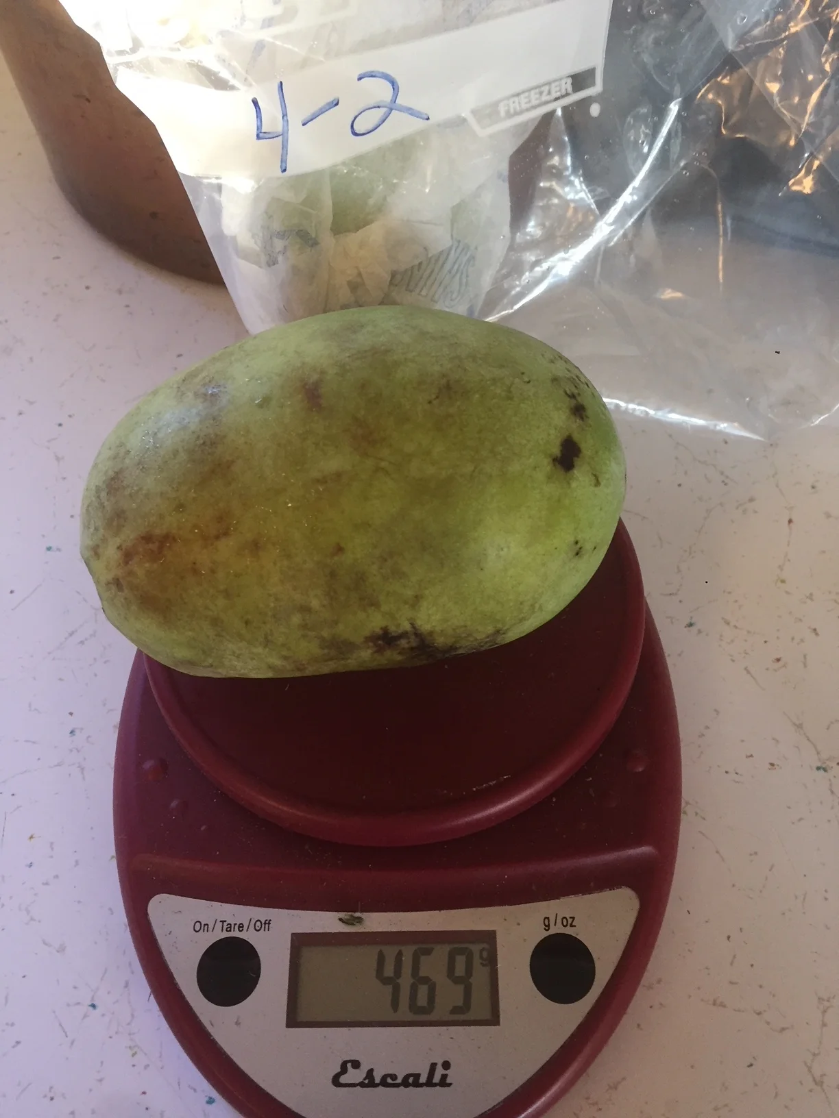 pawpaw.JPG