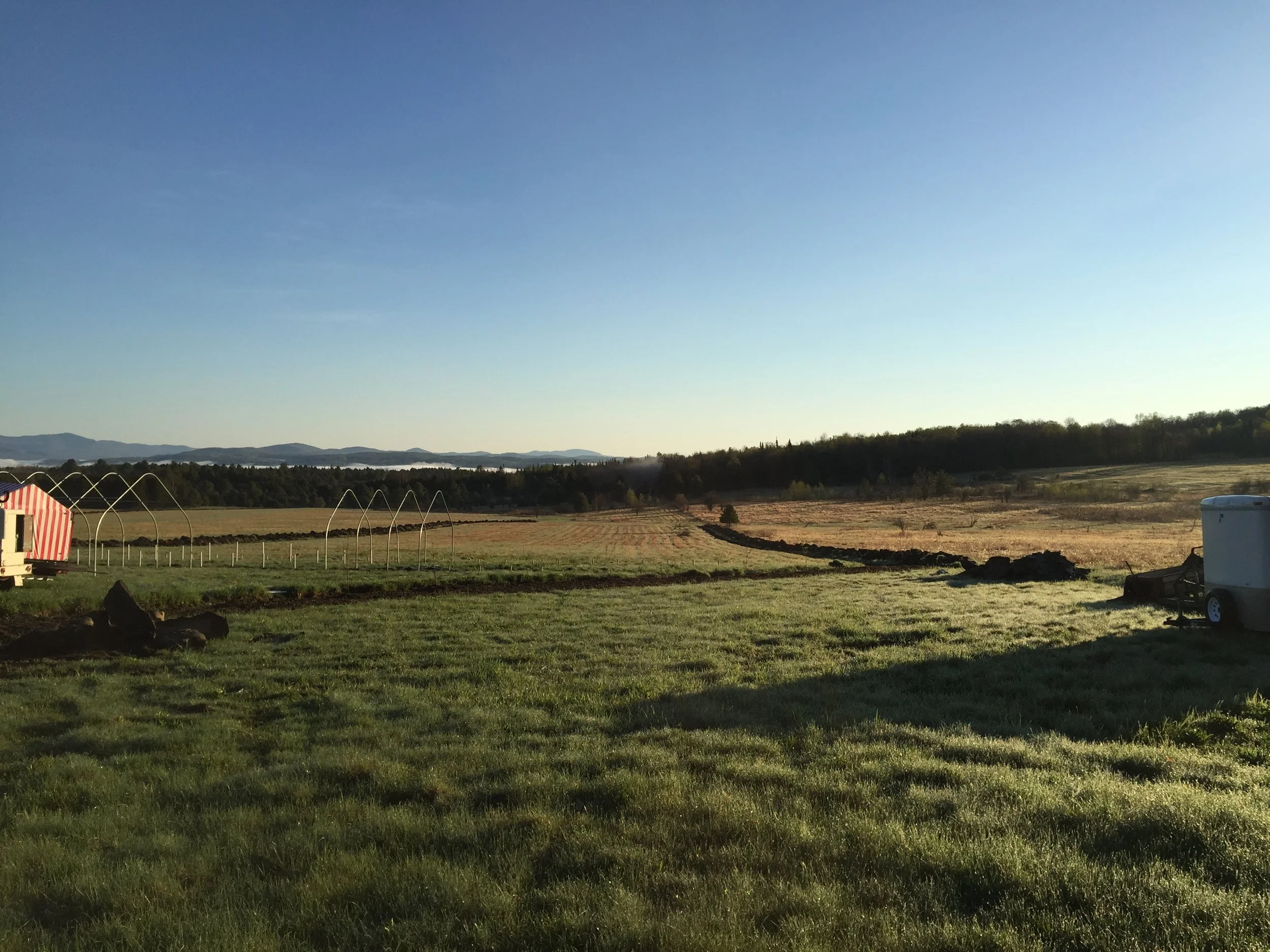 View across the farm