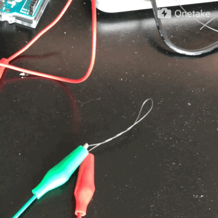 IMG_6737+2.gif