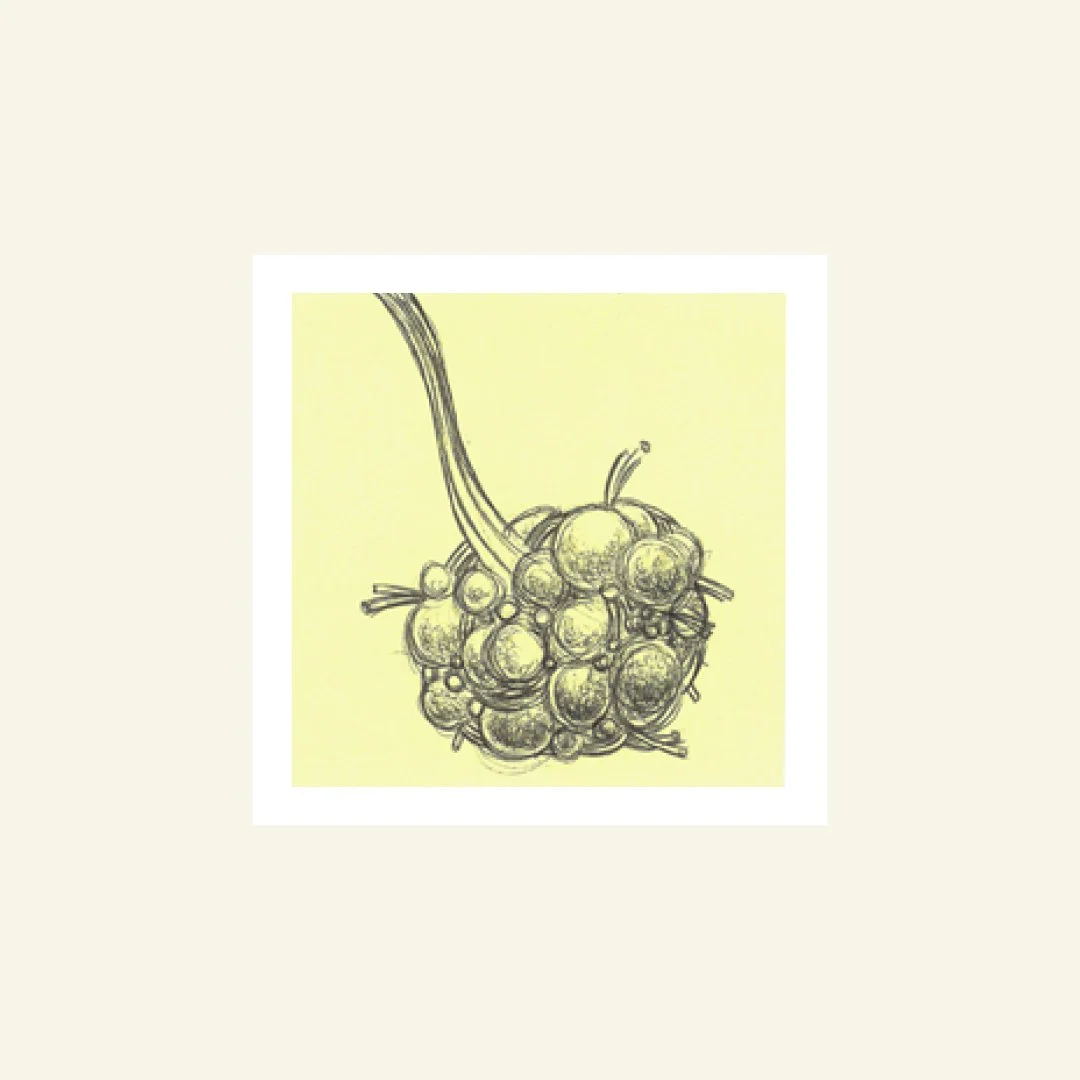  Salious Pod | Ink On Post-It Note 