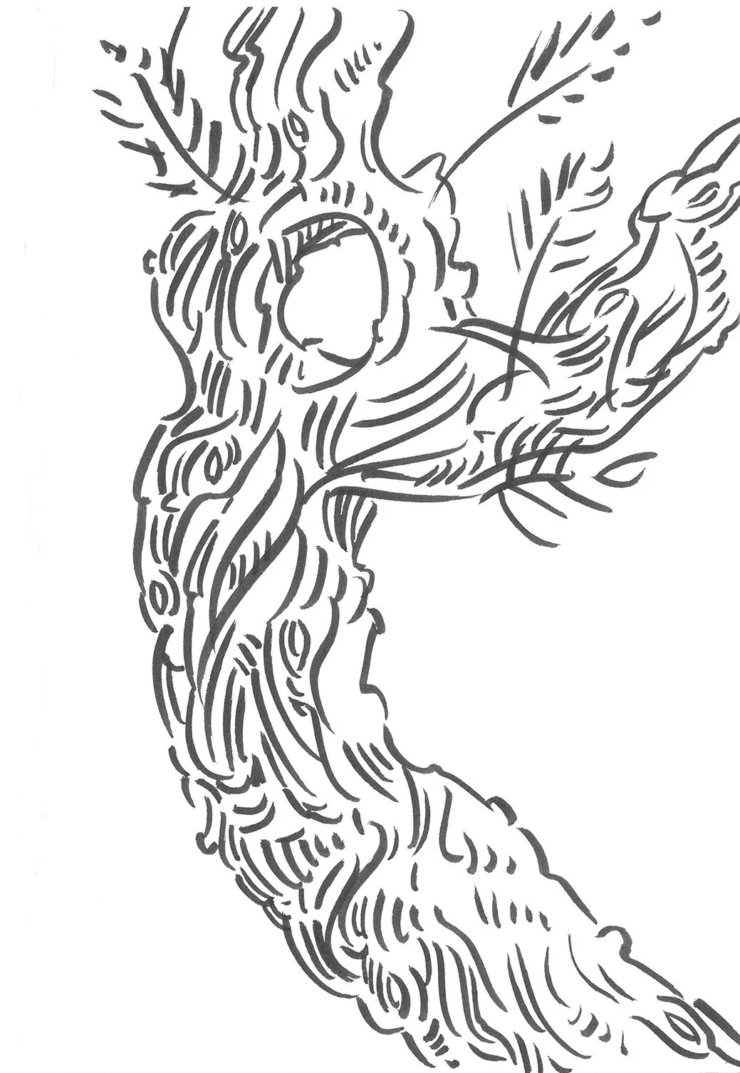  Rytidome II | Ink On Paper 