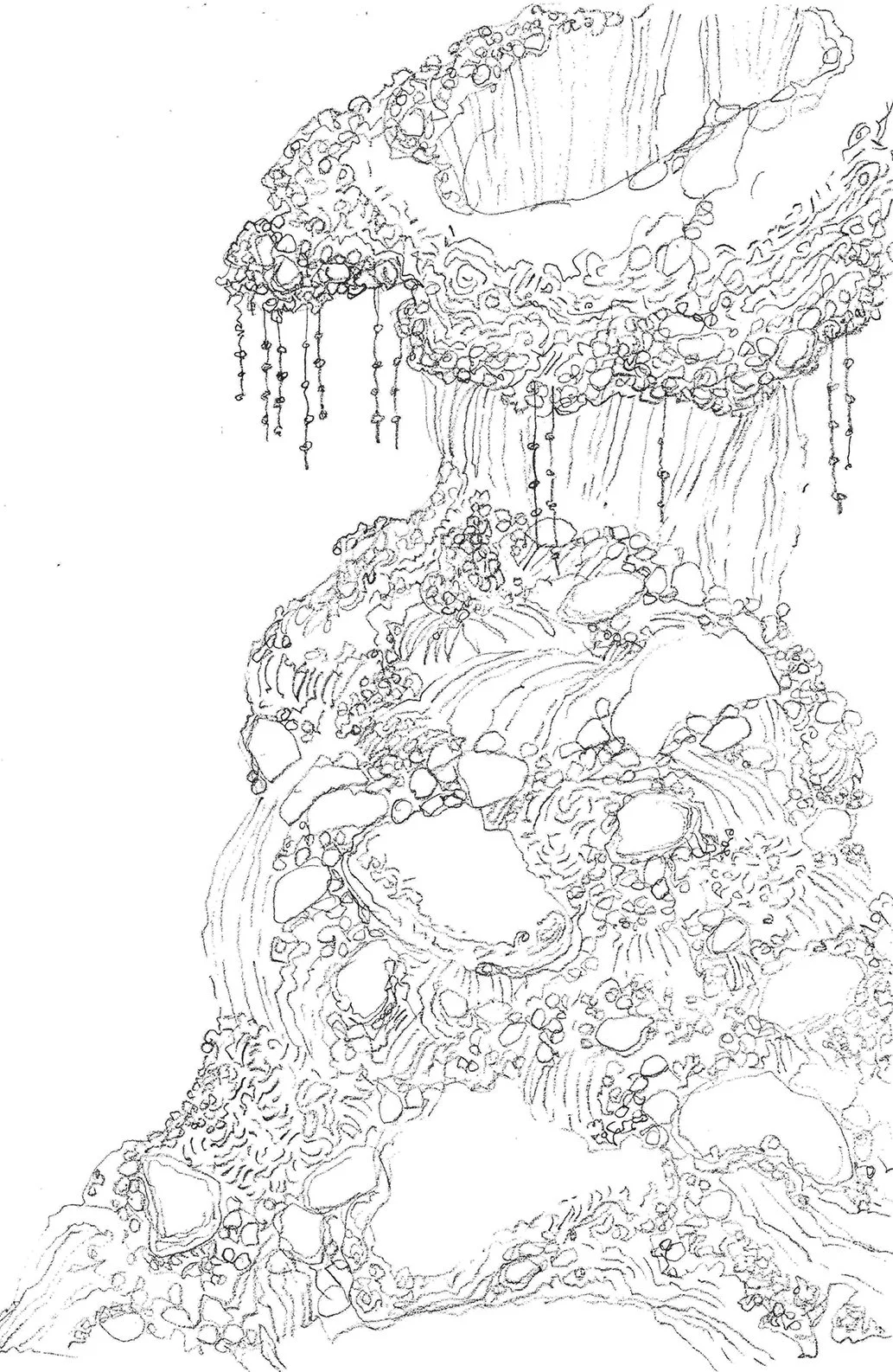  Ground Reef II | Graphite On Paper 