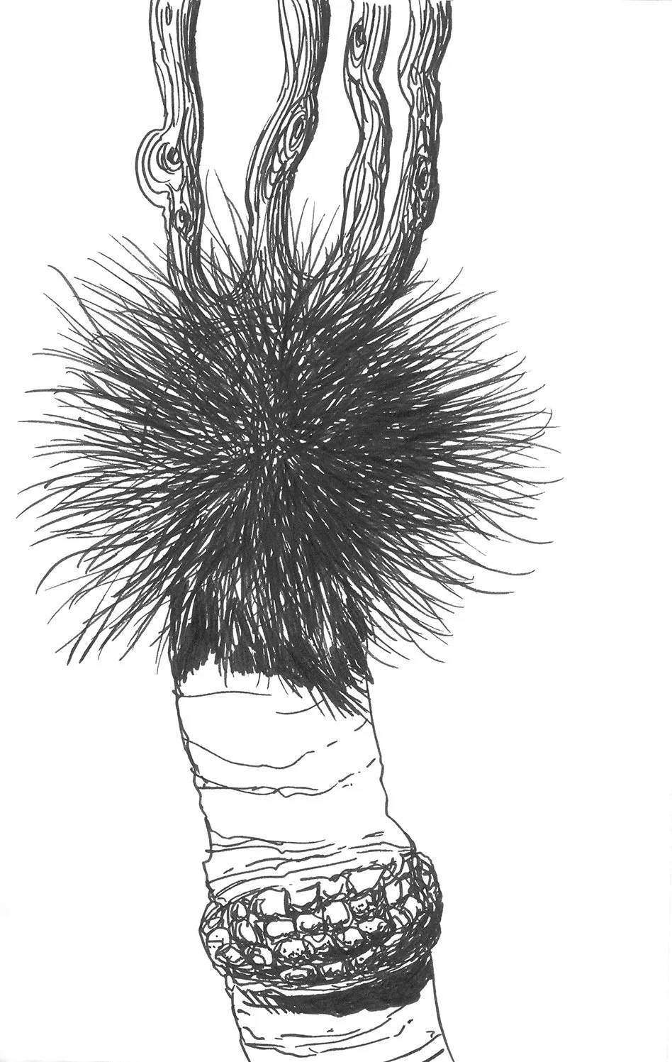  Eucalypt II | Ink On Paper 