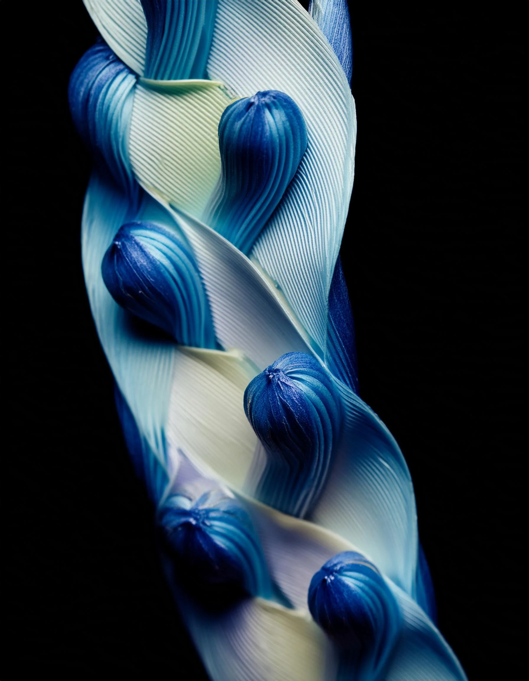  Rhytidome III | Digital 