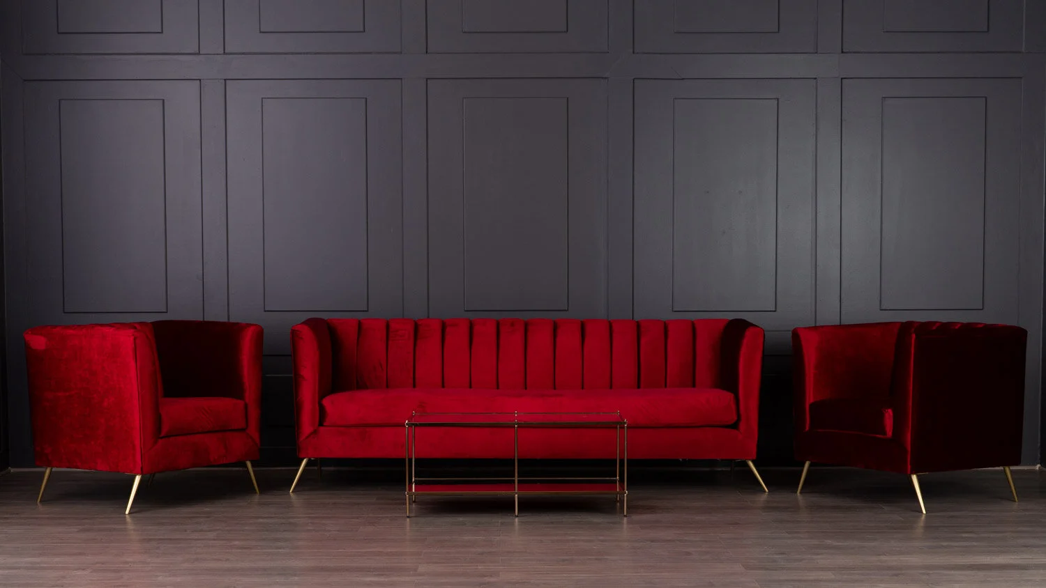 THE CASSANDRA VIGNETTE.jpg