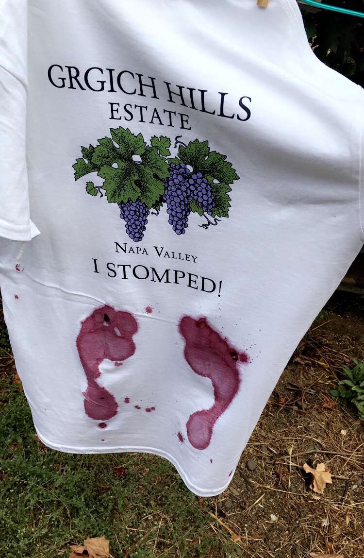 Grgich Hills Estate grape stomping