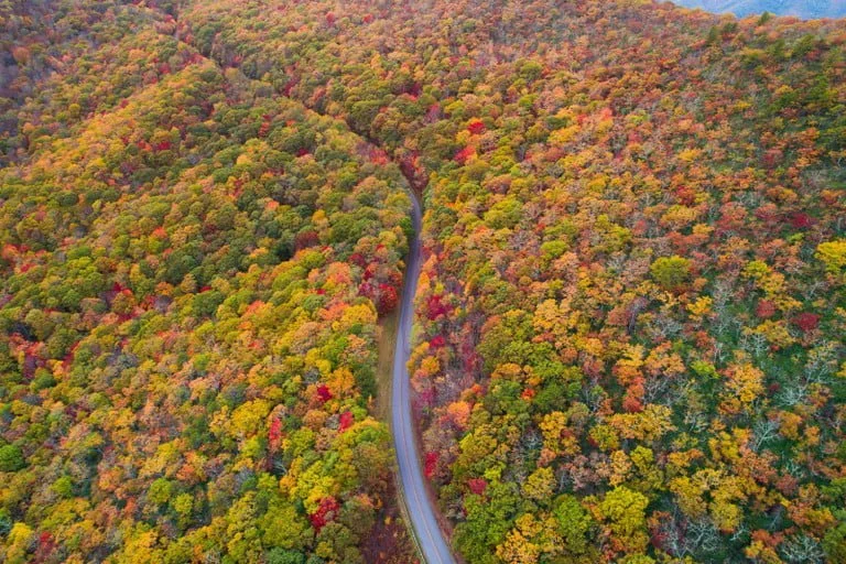 The Most Exhilarating Fall Foliage Experiences in the United States