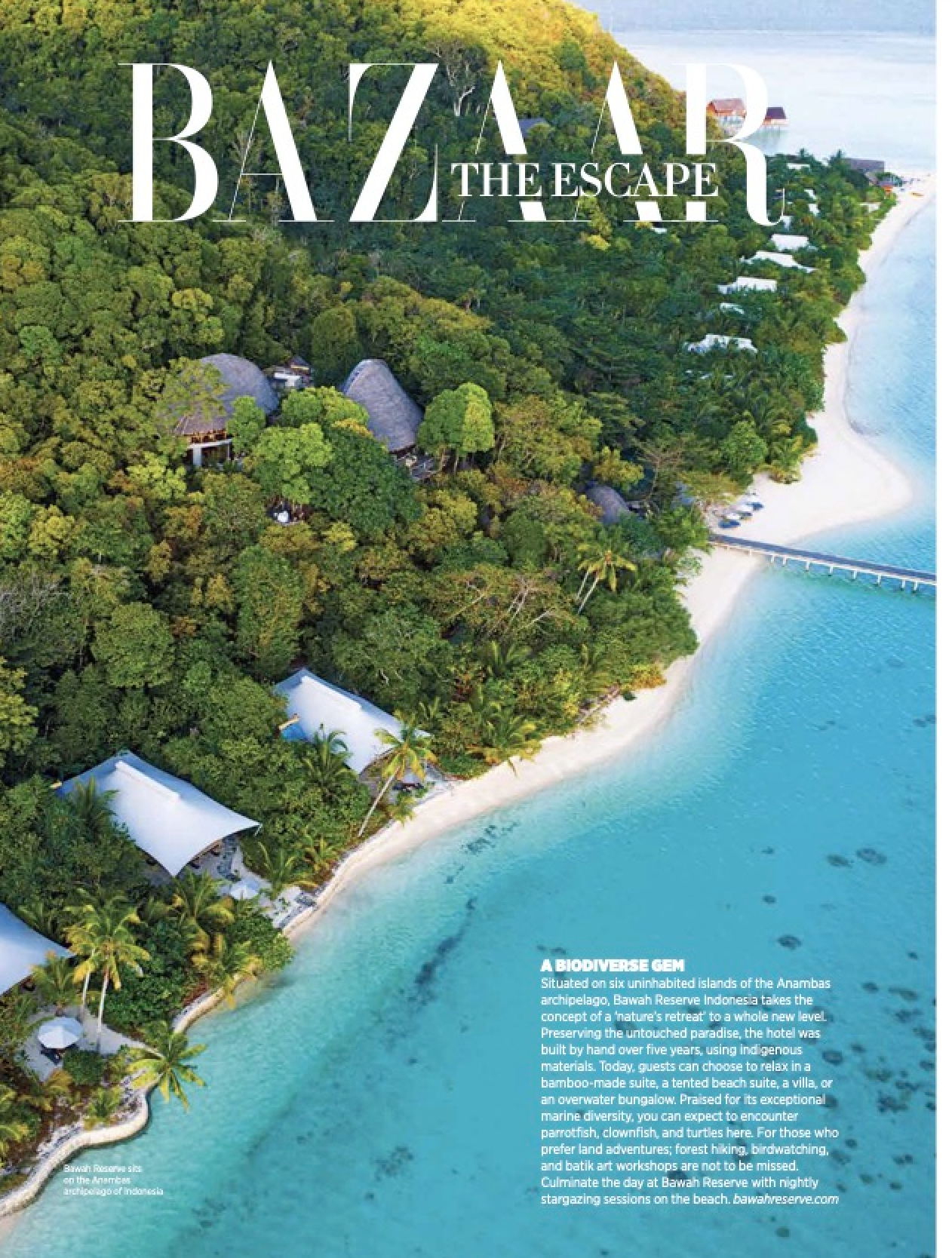 The Escape Spring 2023