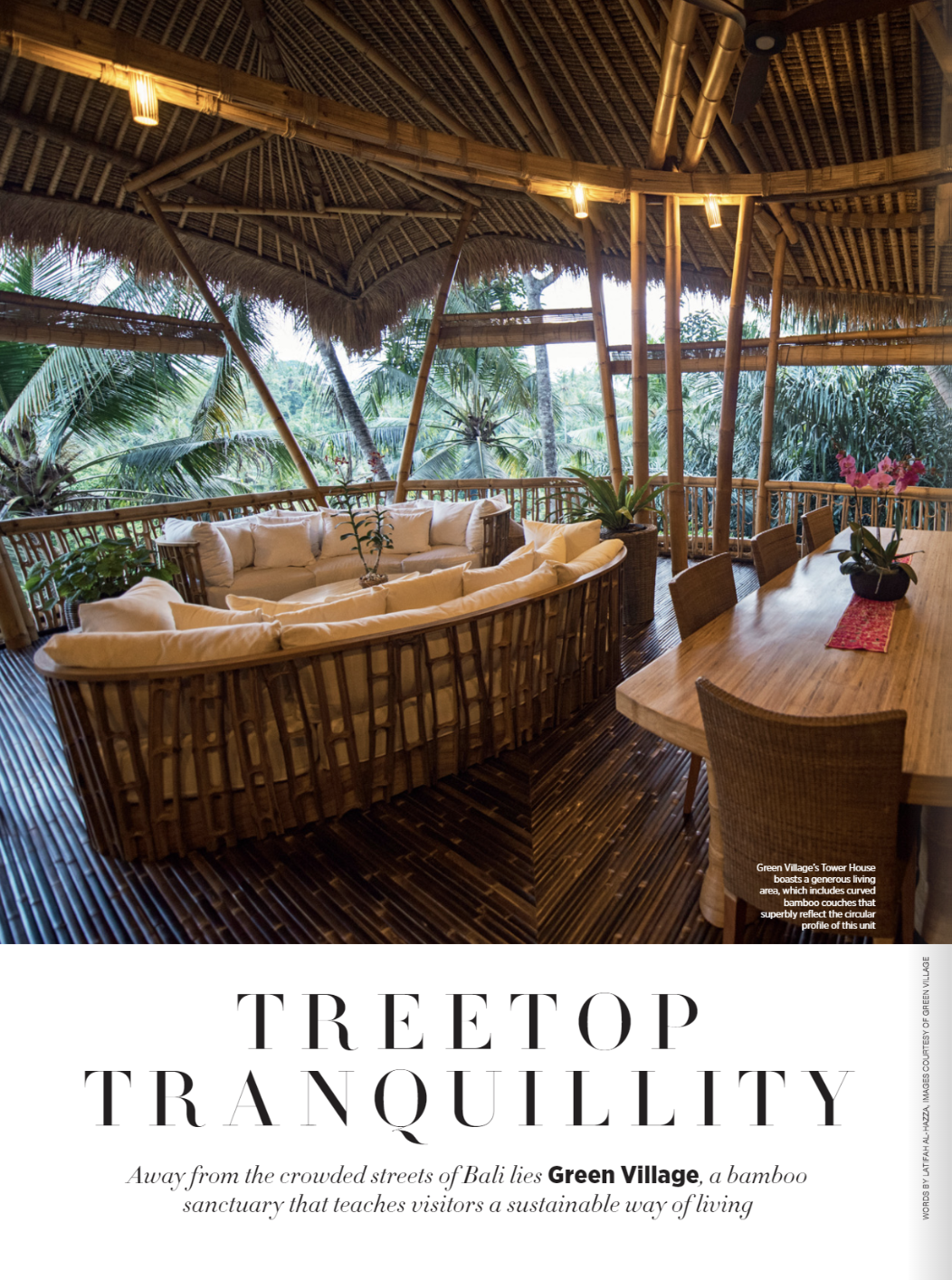 Treetop Tranquillity