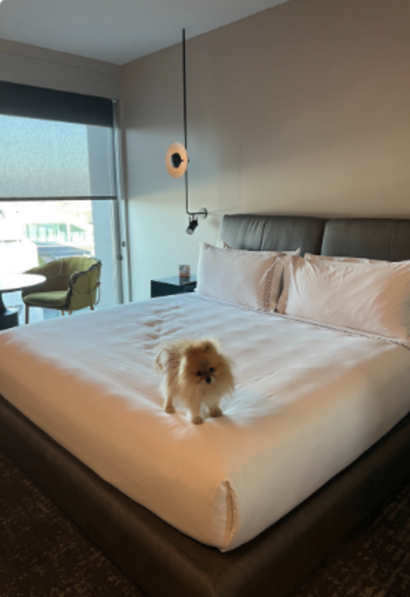 I Stayed There: The Shay Culver City