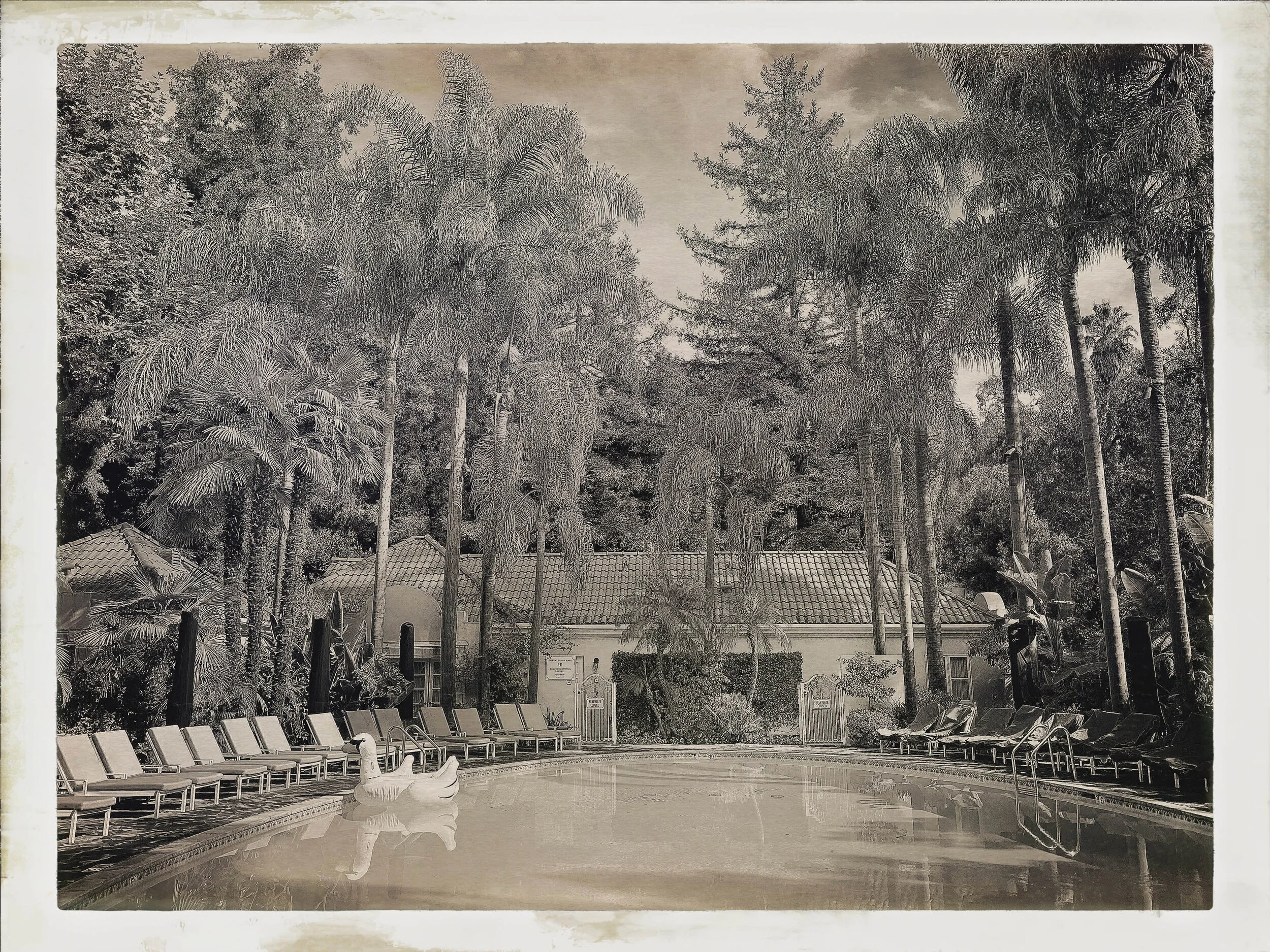7. Pool Hotel Bel Air #1, Los Angeles 2019 B/W 8 1/2x11in