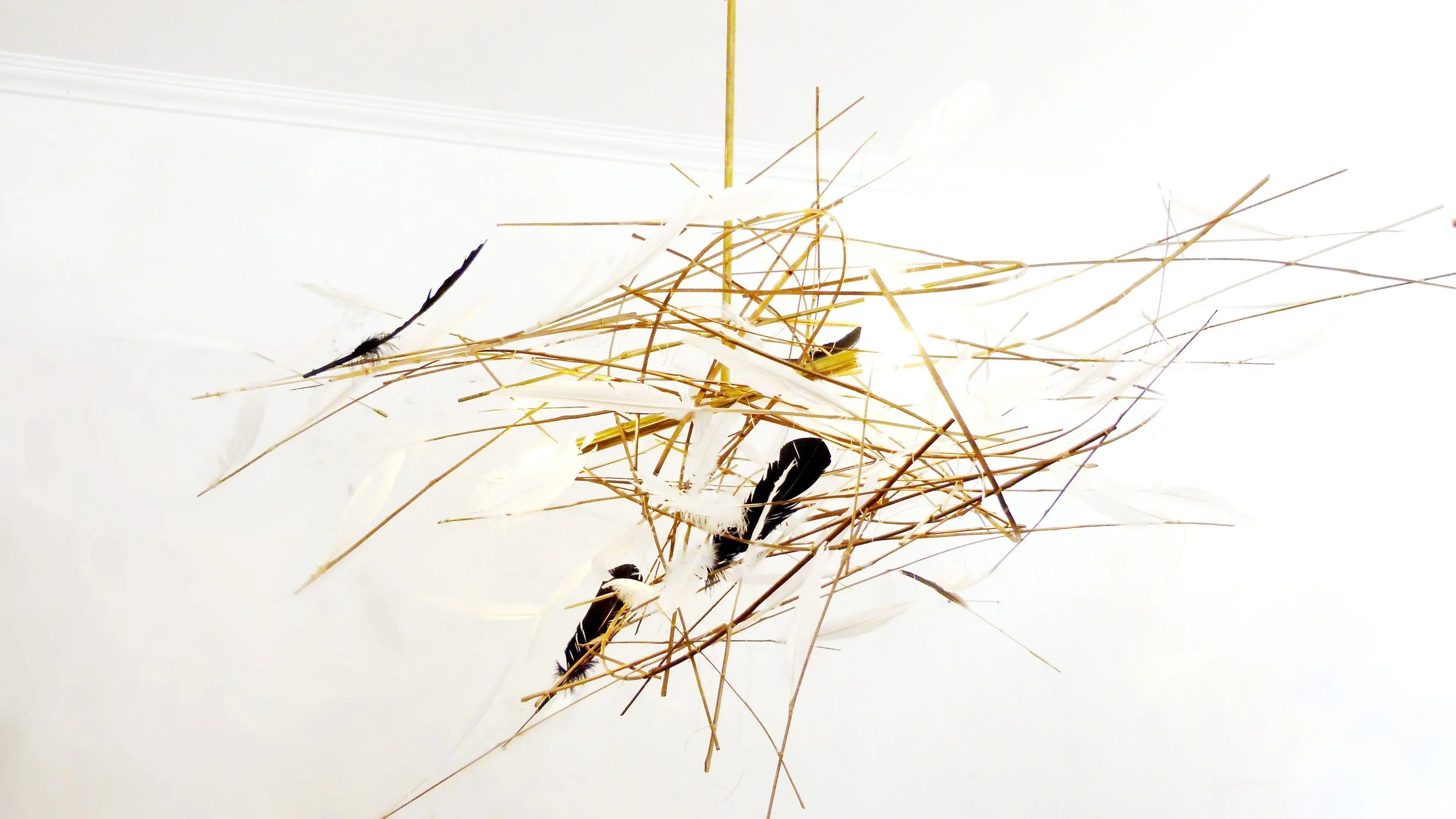 Cloud 9 2020 - Stephen Glassman