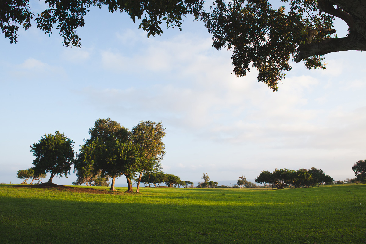 heavenmcarthur-inhabit-land-hawi-067-web.jpg