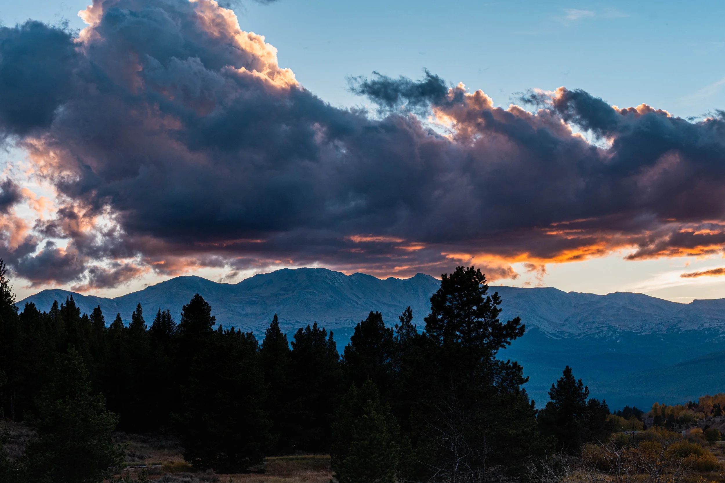 DSC01716-Edit.jpg