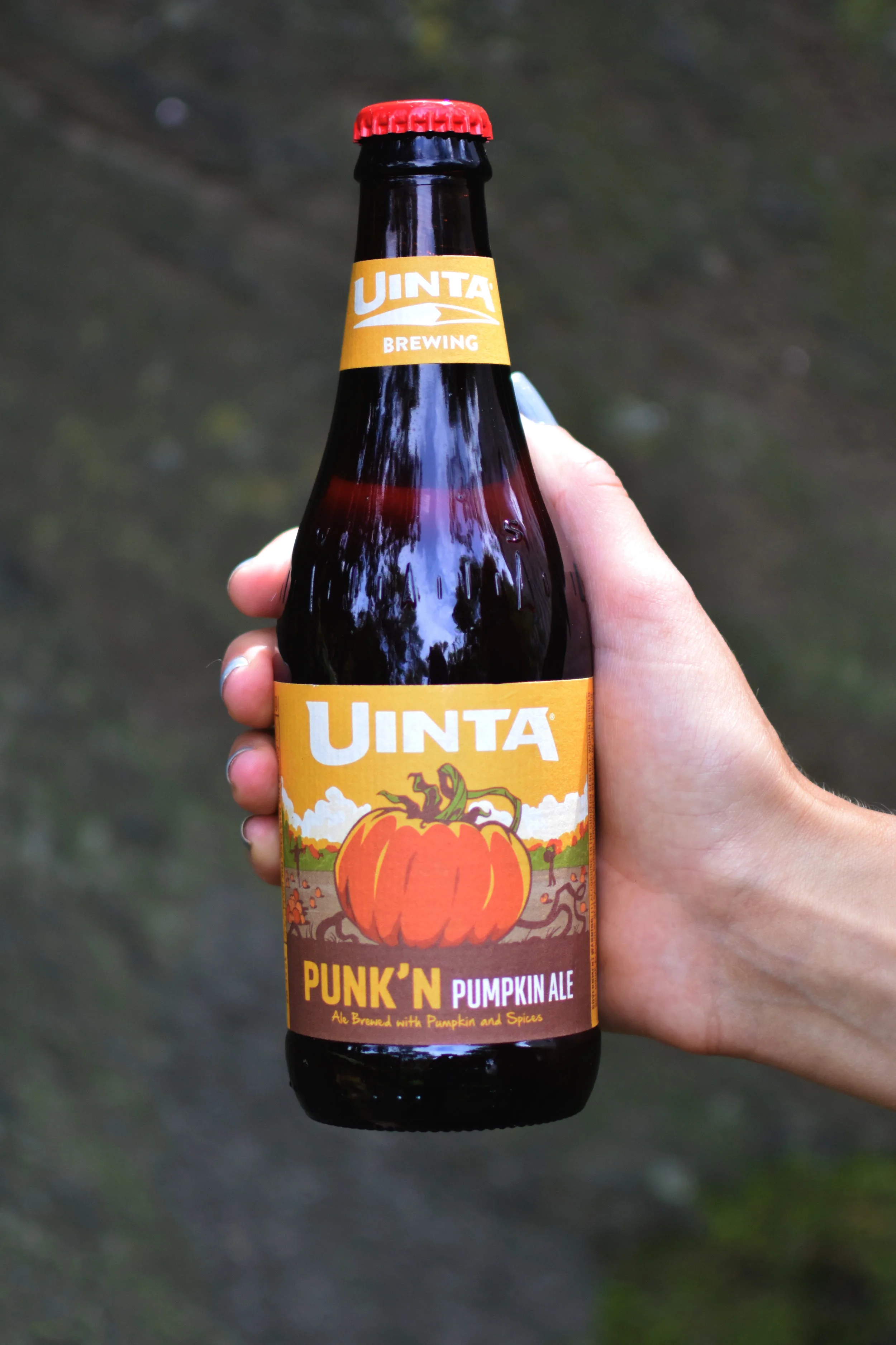 uinta-pumpkin-beer.jpg