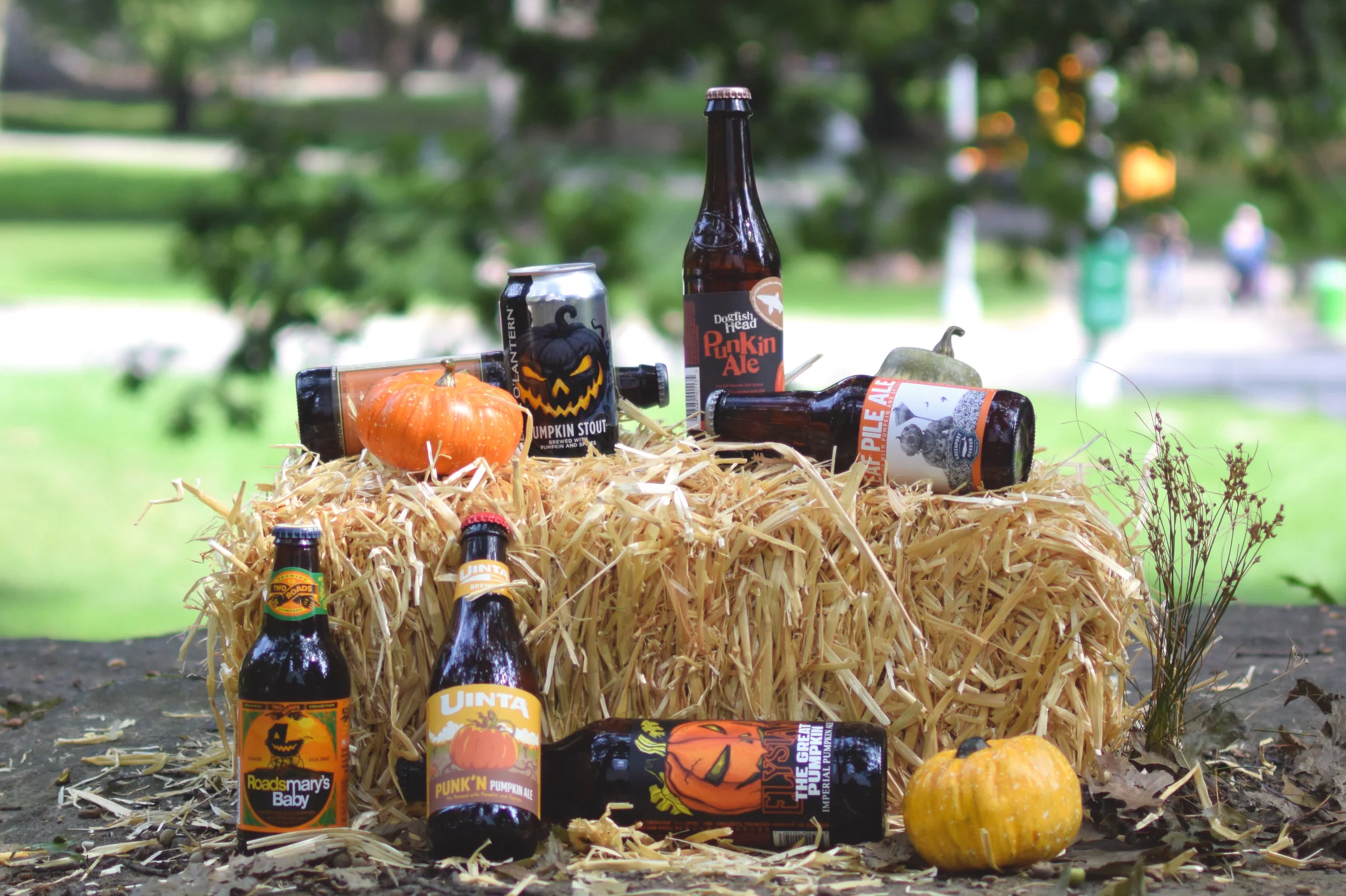 pumpkin-beers.jpg