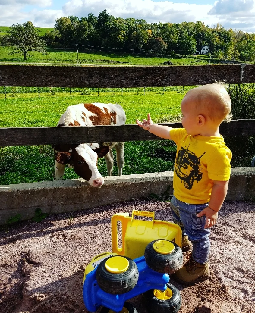 farmer&cow.jpg