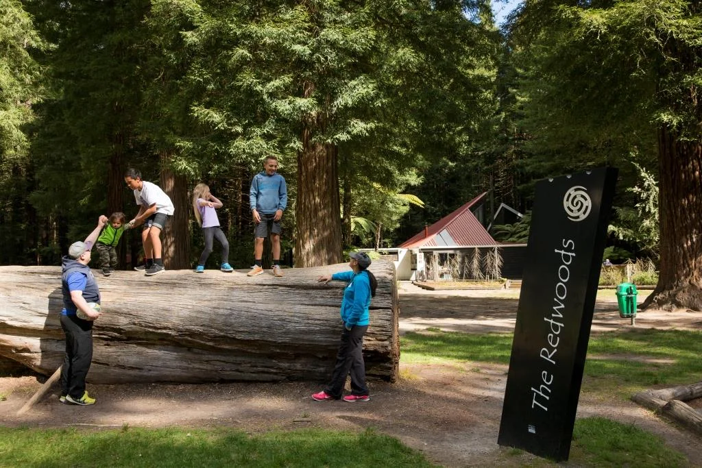 GM_Redwoods_FAMILY2-19.jpg
