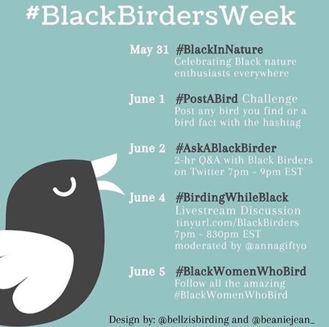 It&rsquo;s officially #BlackBirdersWeek! The first ever week dedicated to visibility, awareness, and dialogue. 
@BlackAFinSTEM started the inaugural #BlackBirdersWeek to celebrate Black Birders and nature explorers, which began May 31.

While #BlackB