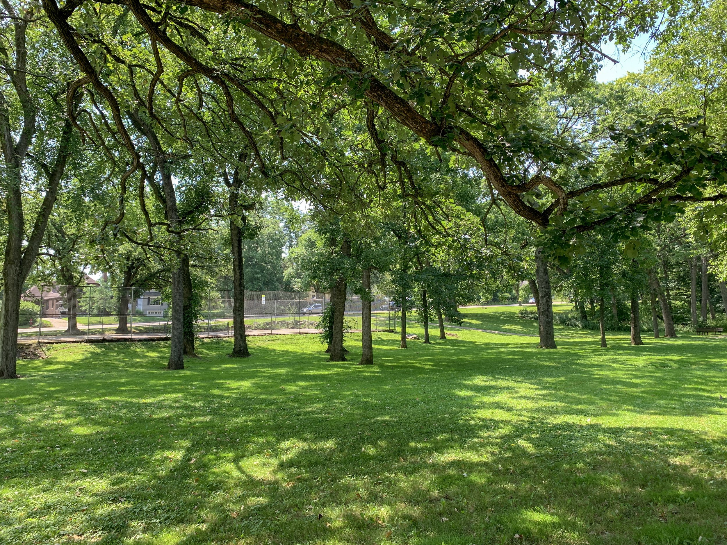 Nakoma Neighborhood — Liz Quinn Homes