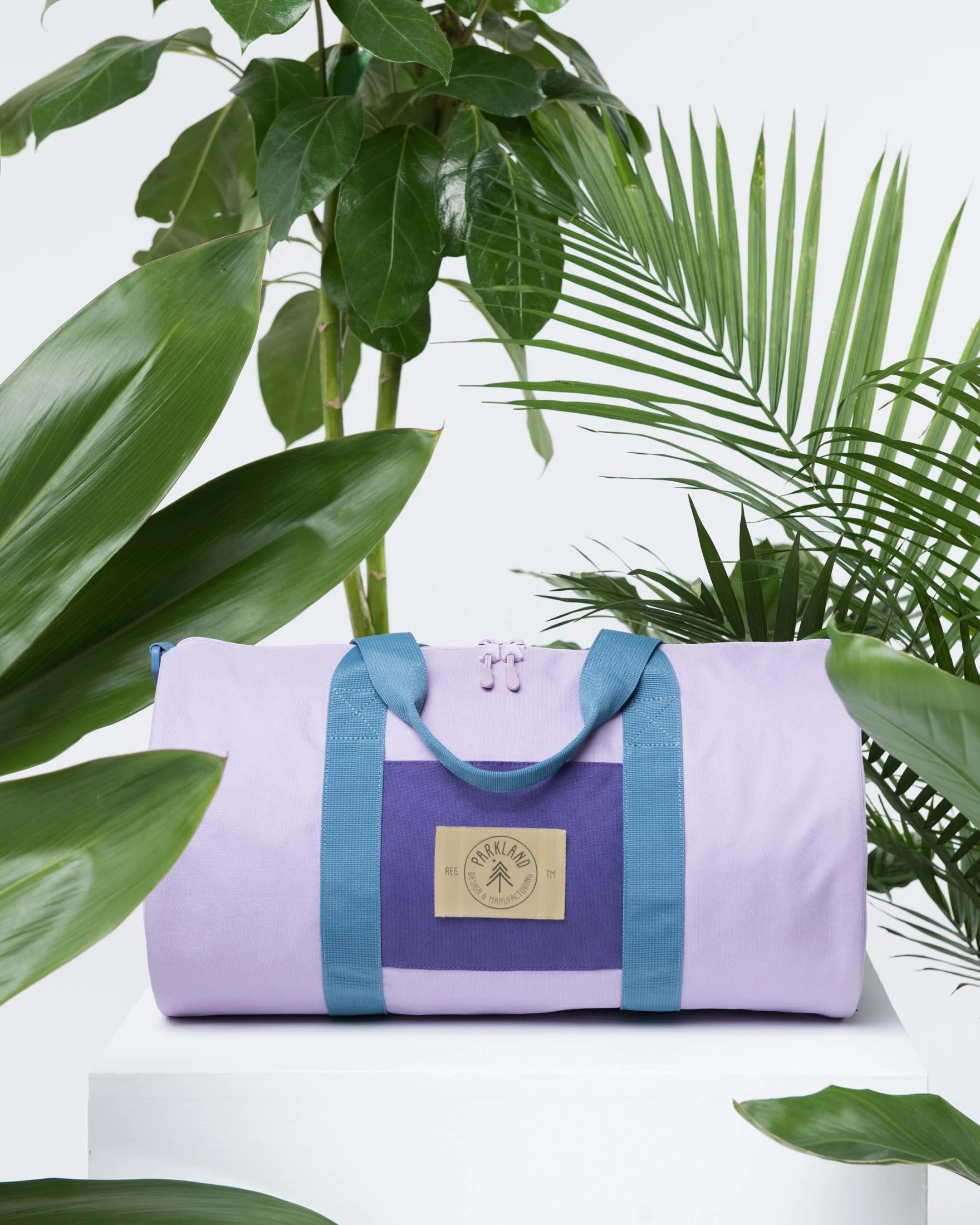 UX Design & Web Development