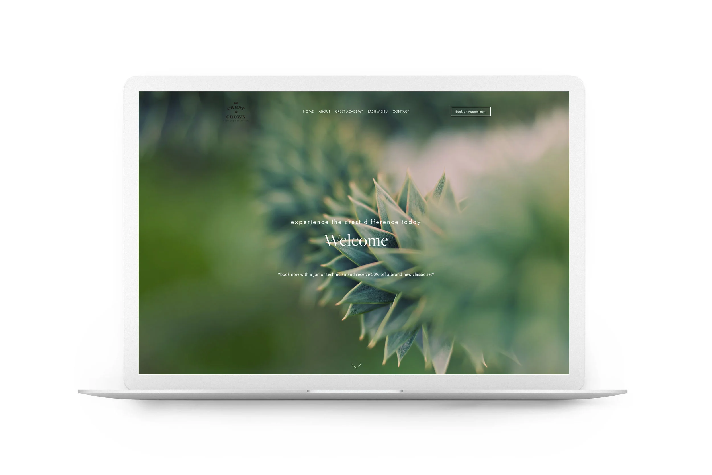 Squarespace Redesign 2018