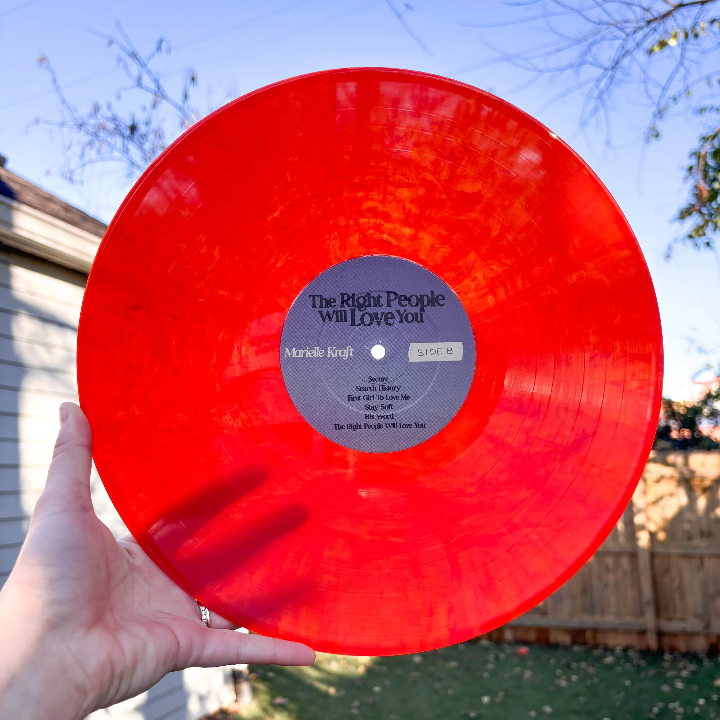 vinyl+disc.png