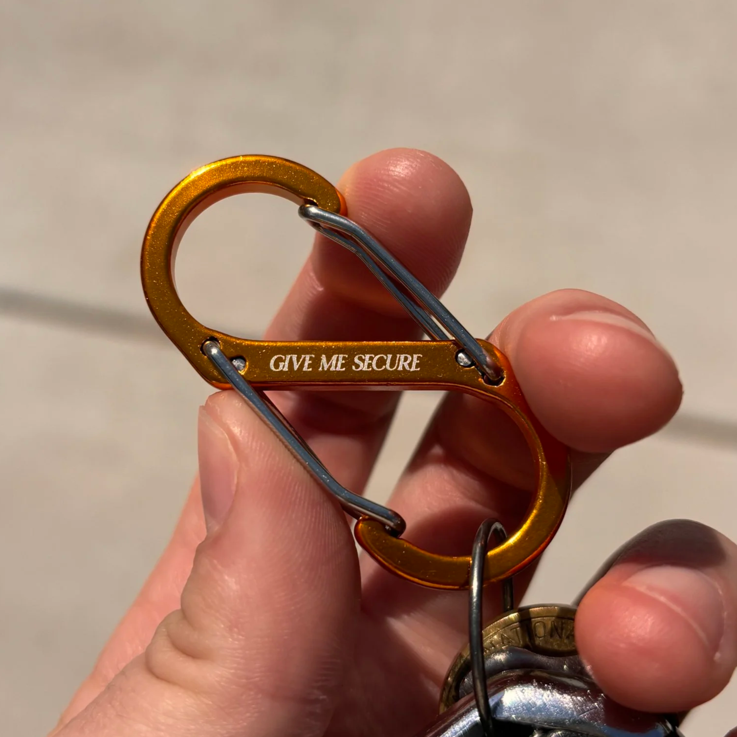 carabiner%2Bpic.png