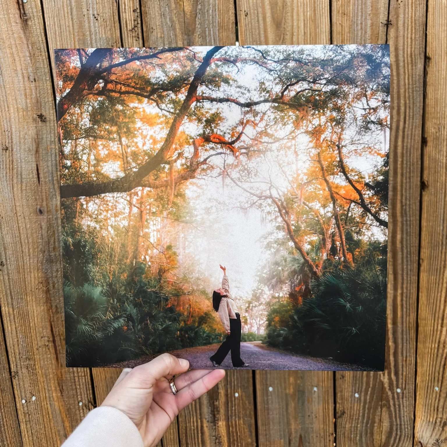 vinyl+front.png