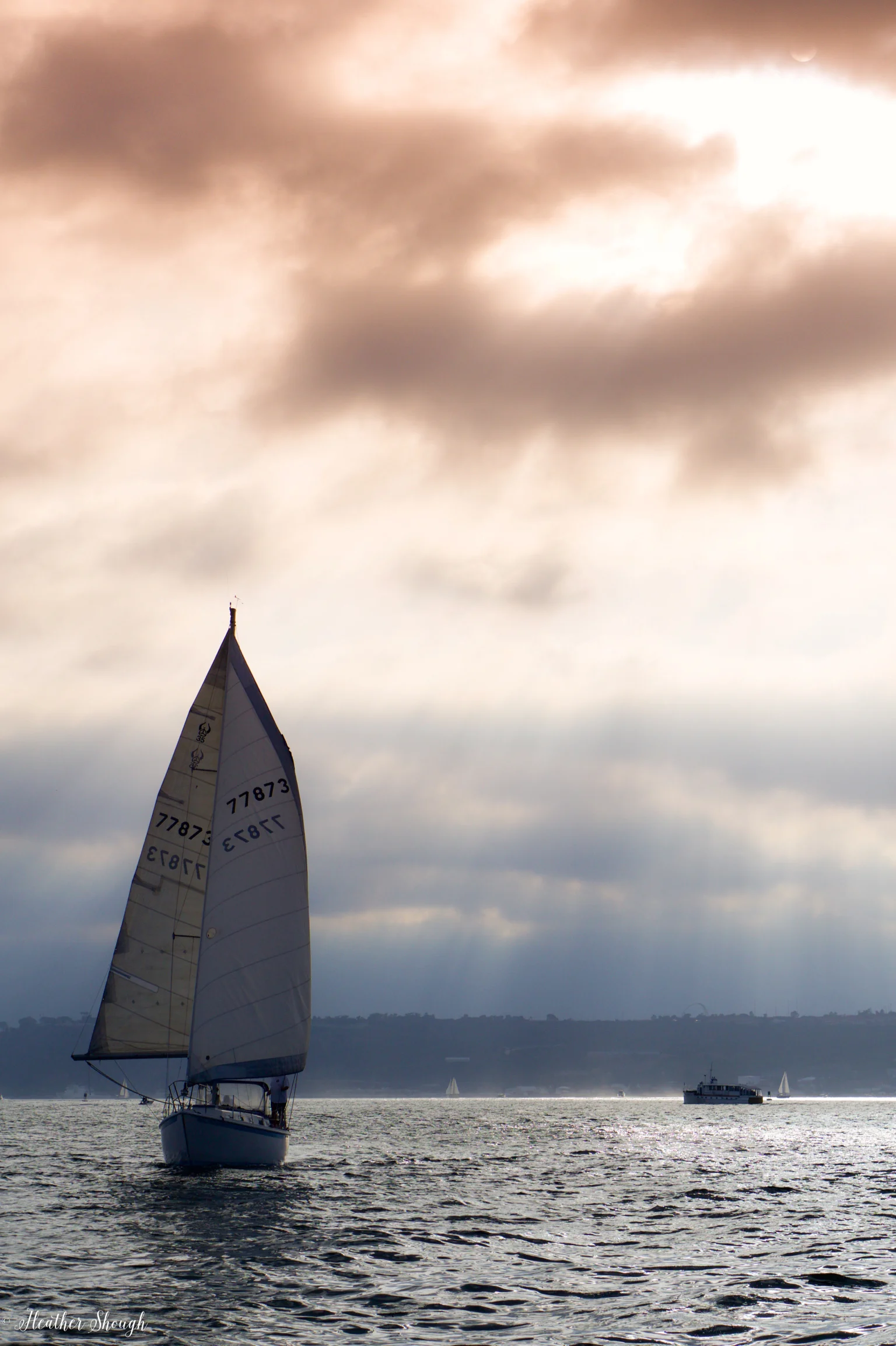 DSC06050-2.jpg