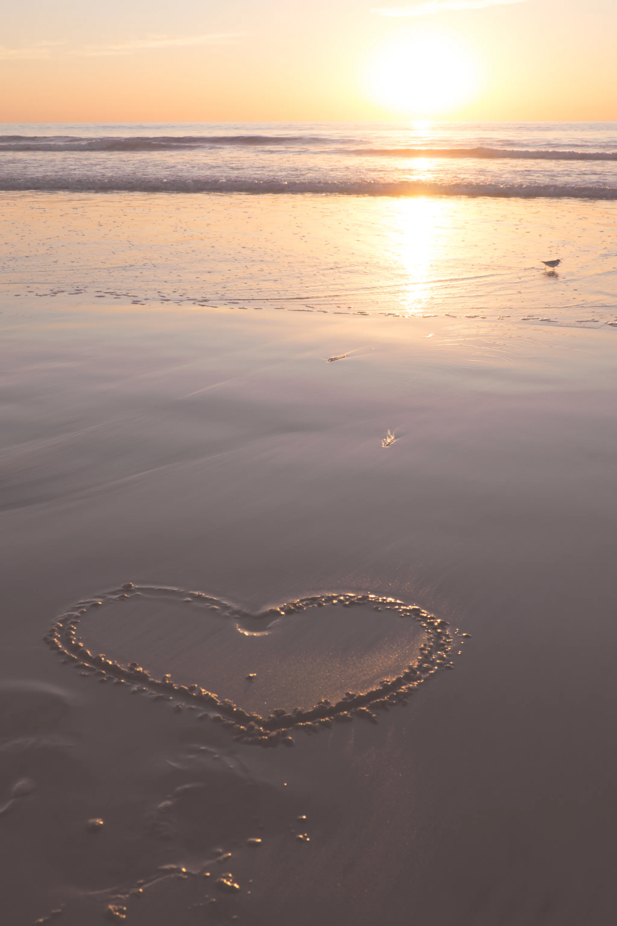 beach_photos_southcarlsbad_websitepix_2018-1.jpg