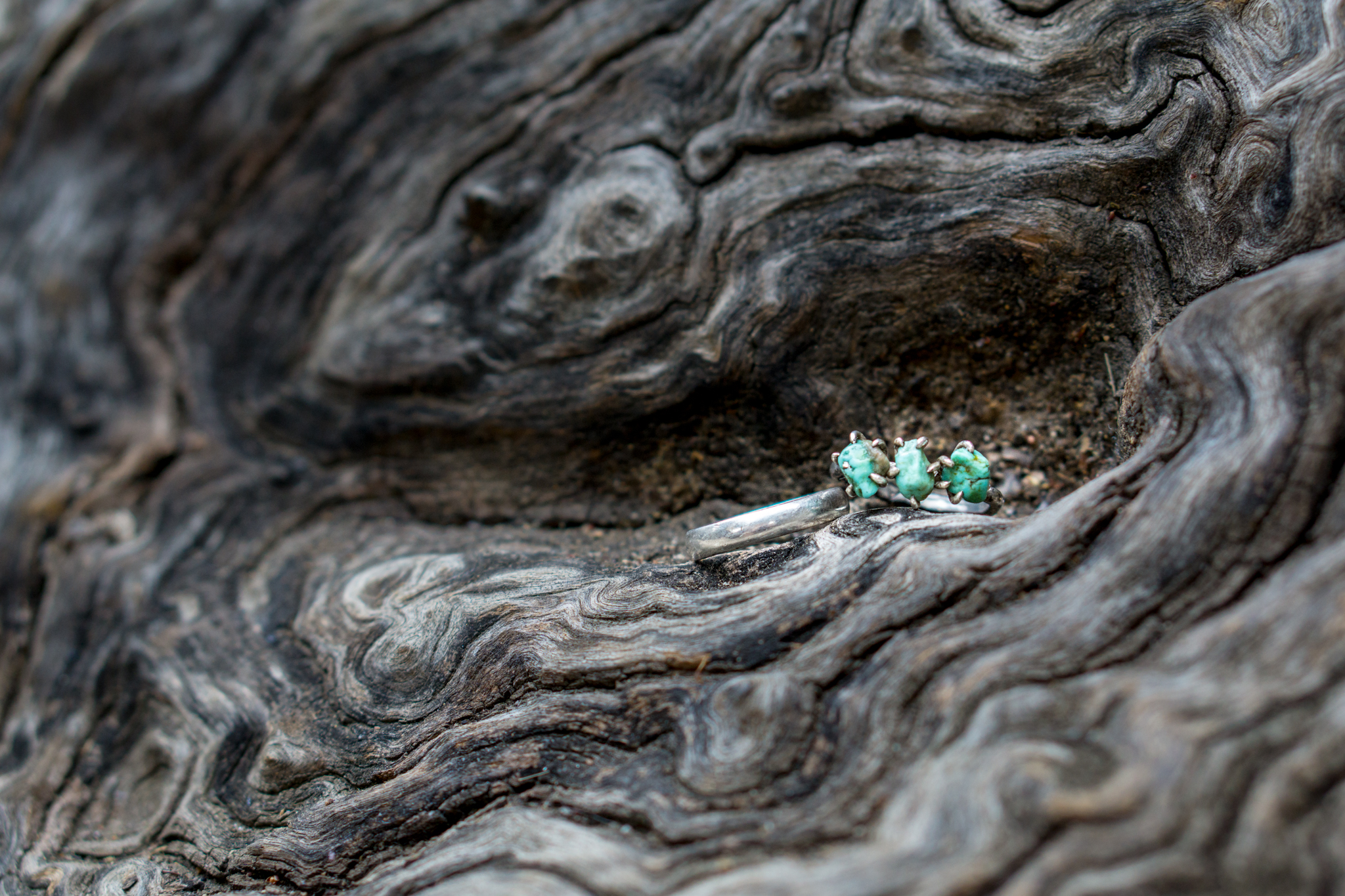 BalboaPark_SanDiego_EngagementSession_Katie_and_Ysrael_Feb_2018_web-15.jpg