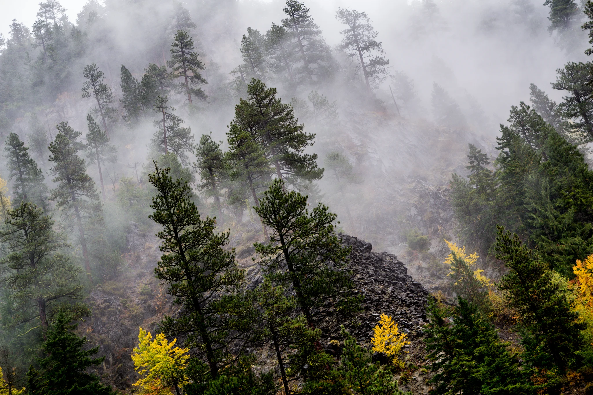 landscape-102018-heathershoughphotography-1.jpg