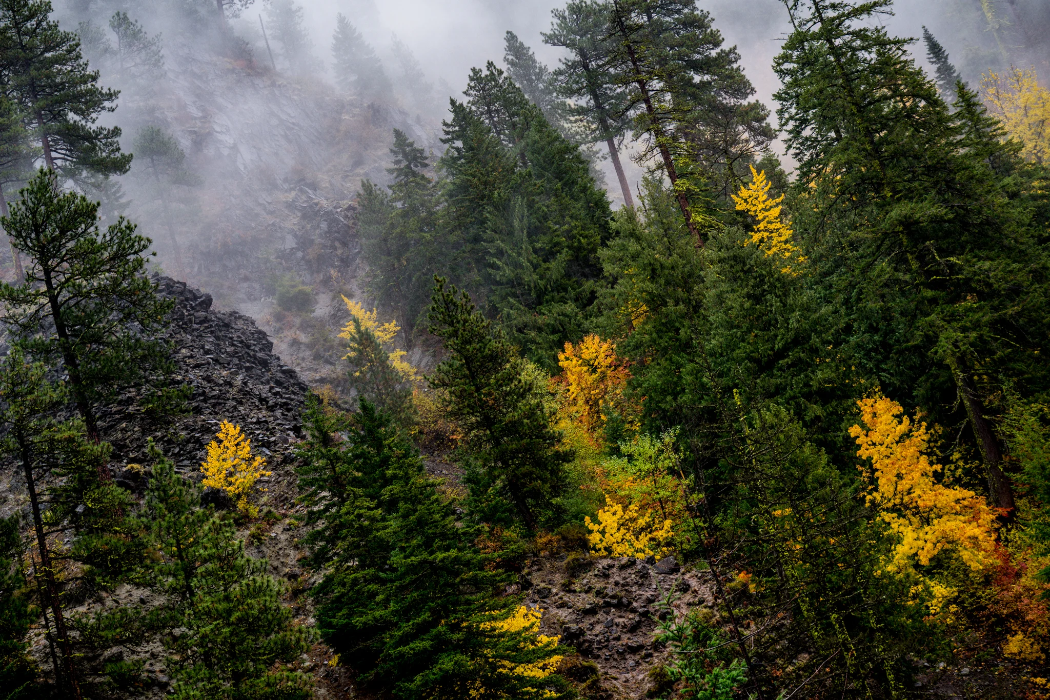 landscape-102018-heathershoughphotography-9.jpg
