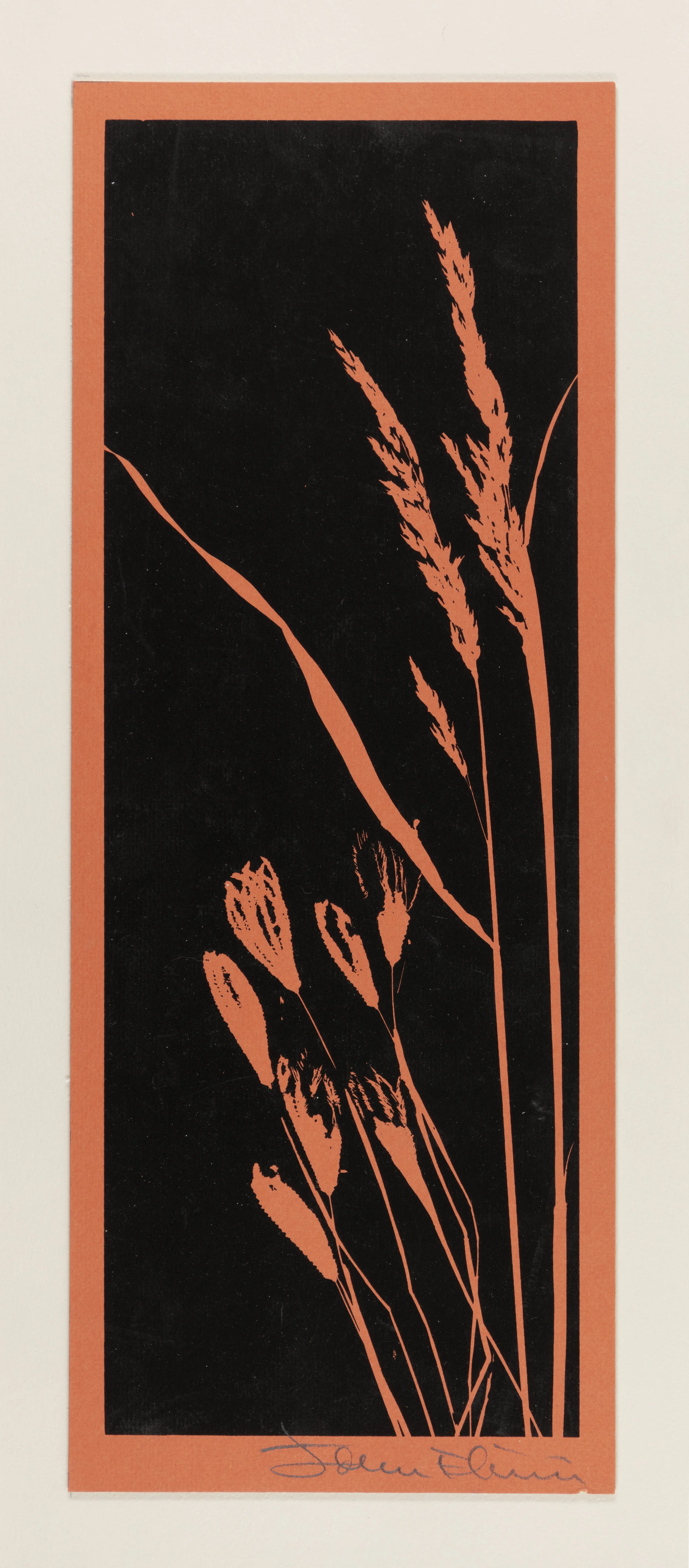 Siloutte of Prairie Botanic Salmon.jpg