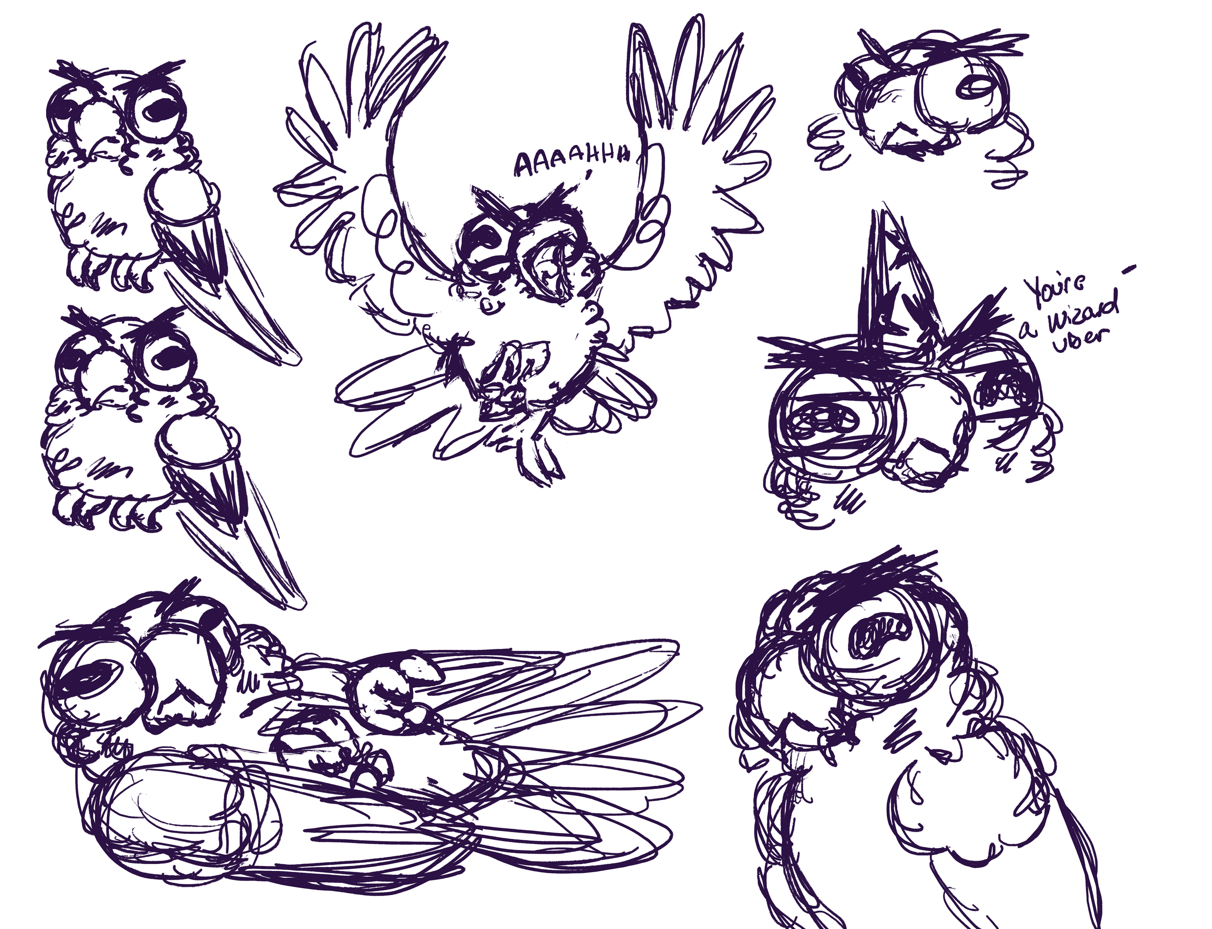 birb_doodles.png