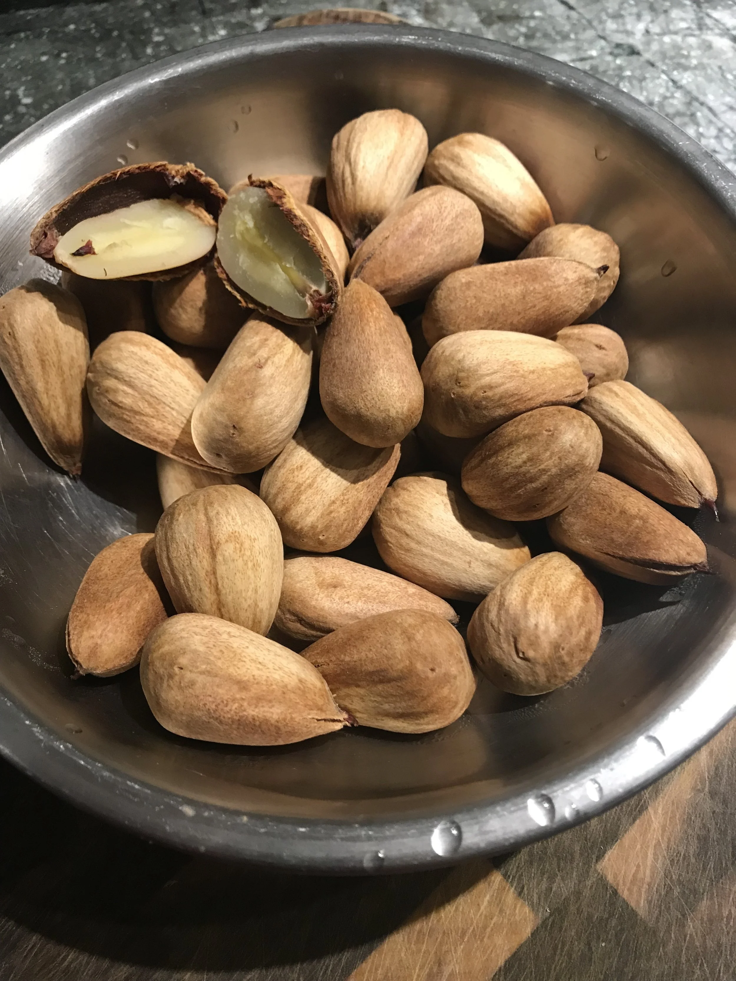 Something from Down Under- Bunya Nut