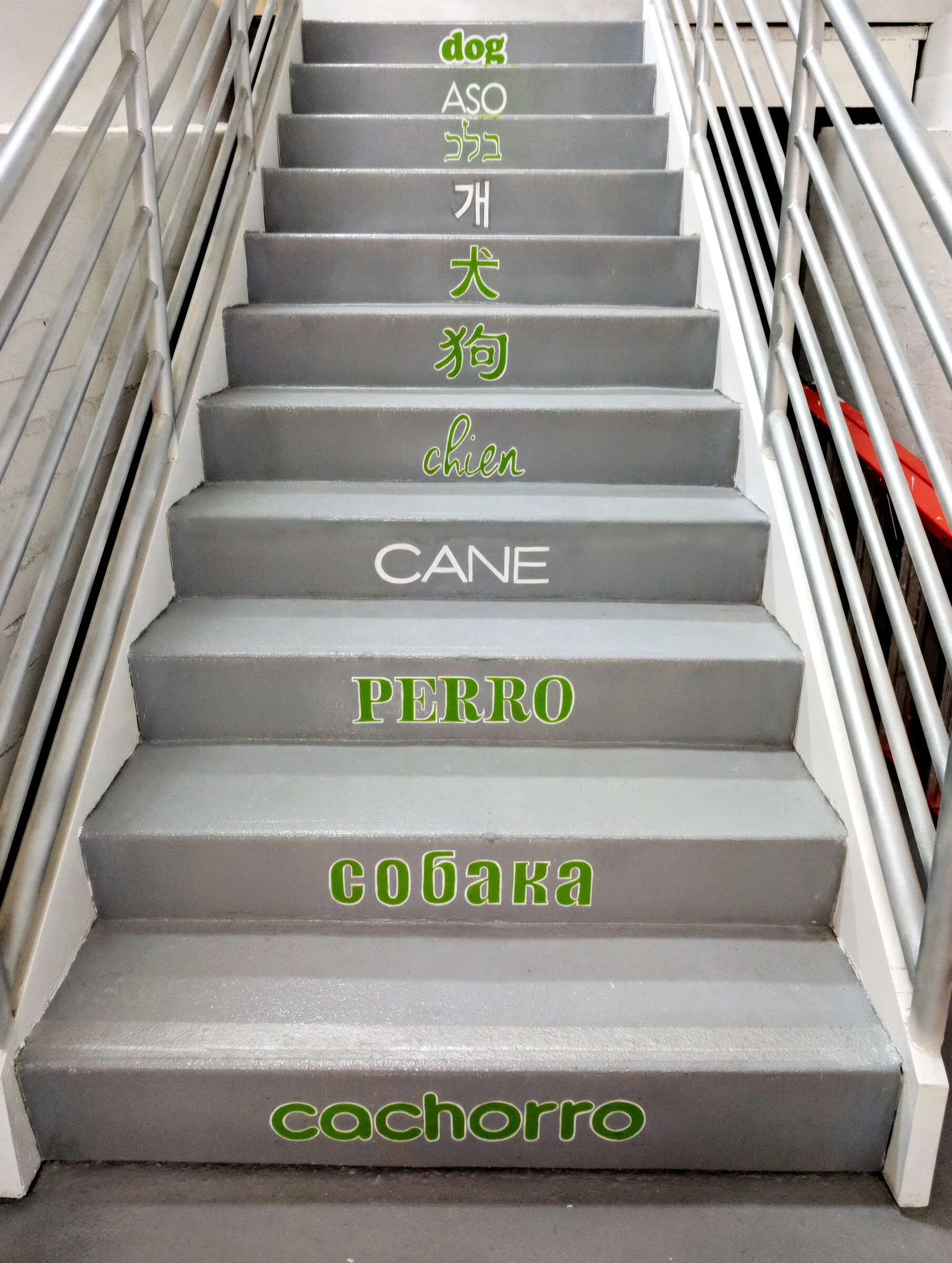 stepscaneperroflat.jpg