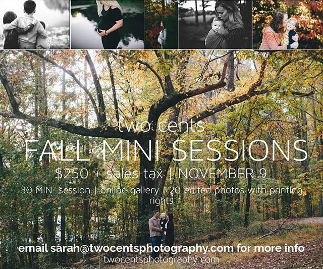 This is my last minute, hard to read mini session announcement!! Ha. We still have some spots open for Nov 9th! Shoot me an email for more info!