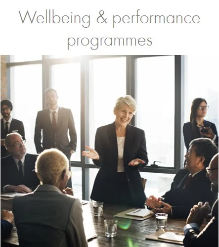 We can work with you to design and develop more long-term employee/leadership wellbeing and performance programmes. Programmes can be short, or more long term. We have close partnerships with game-changing neuro-. bio-feedback and integrative medicine specialists and can also develop individual, preventative high impact senior leadership programmes.