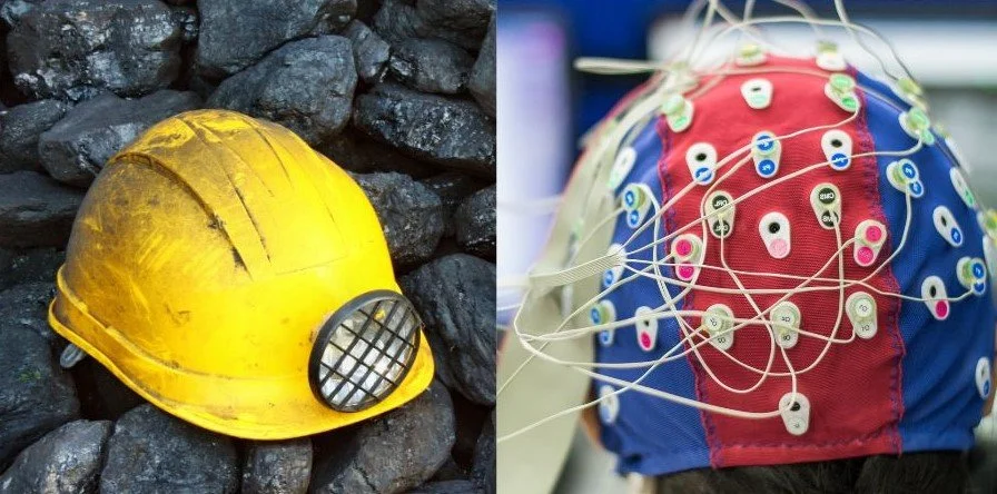 A radically different work environment 