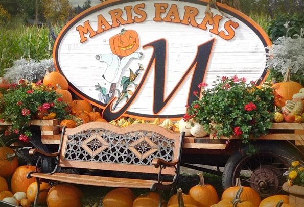 Maris Farms School Age (Public Elementary Students)