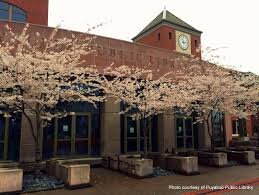 Lower Elementary Library Field Trip