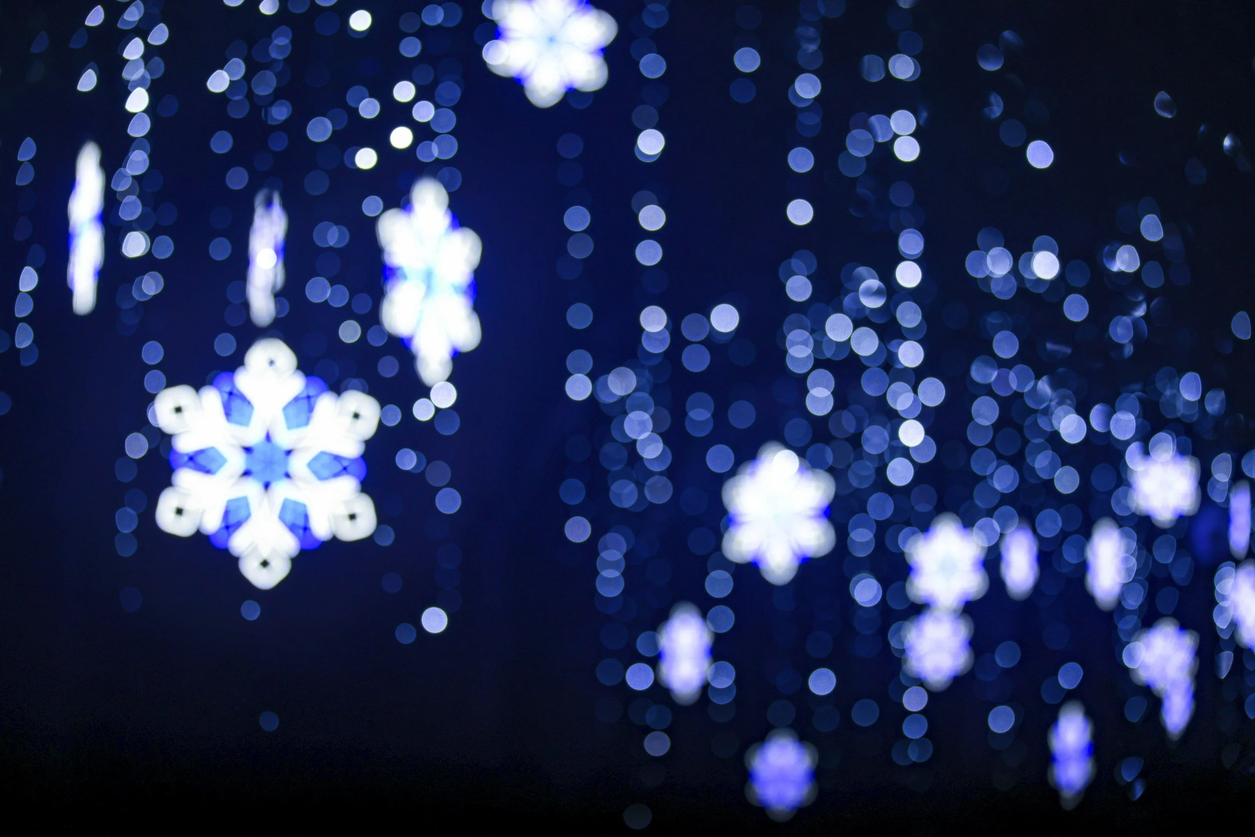 Elementary Holiday Hoopla